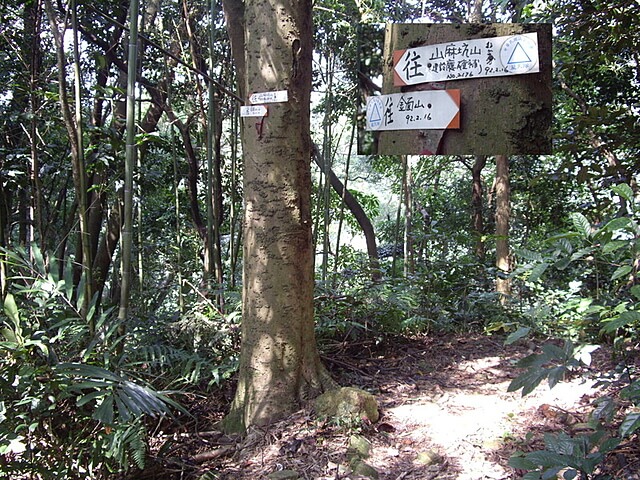 金山面山、金面山、山麻坑山、坑底山