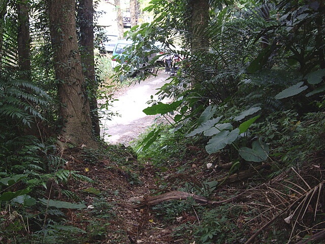 金山面山、金面山、山麻坑山、坑底山