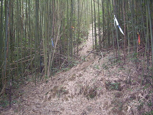 大混山、牛欄坑山