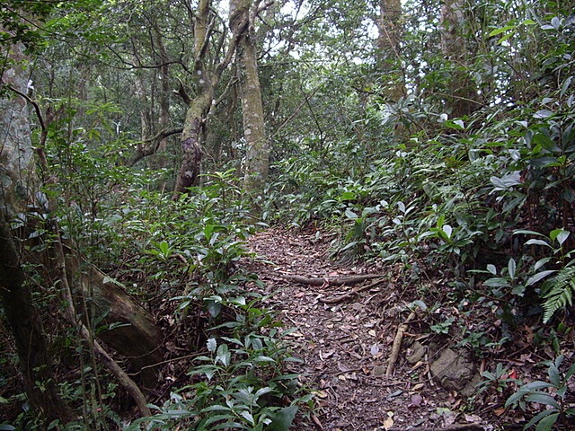 大混山、牛欄坑山