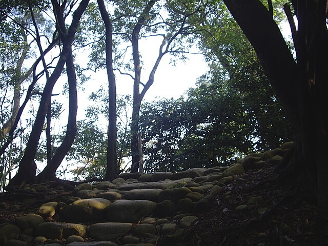 蓮華山古道、老庚寮山、蓮華山、五分埔山