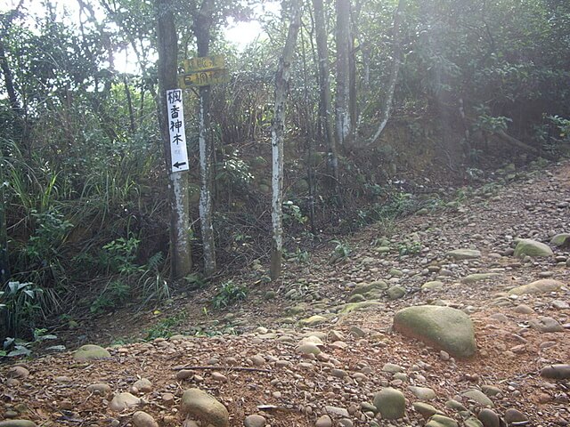 蓮華山古道、老庚寮山、蓮華山、五分埔山