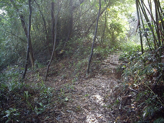 蓮華山古道、老庚寮山、蓮華山、五分埔山