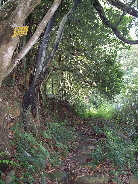 蓮華山古道、老庚寮山、蓮華山、五分埔山