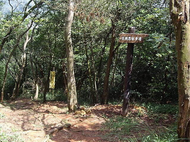 蓮華山古道、老庚寮山、蓮華山、五分埔山