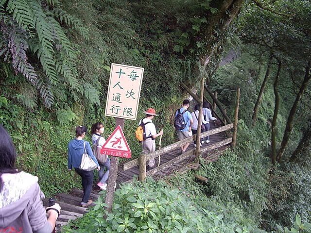 觀霧遊憩區、檜山巨木群步道