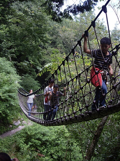 觀霧遊憩區、檜山巨木群步道