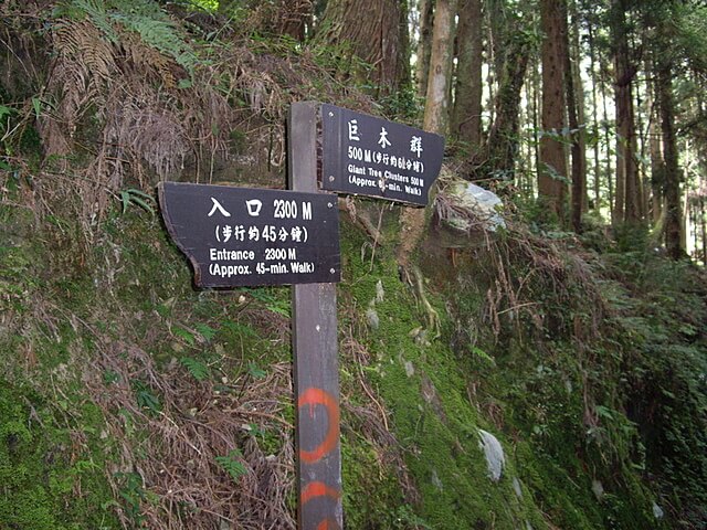 觀霧遊憩區、檜山巨木群步道