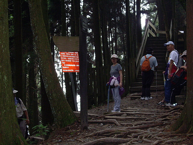 觀霧遊憩區、檜山巨木群步道