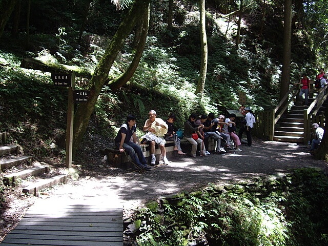 觀霧遊憩區、檜山巨木群步道