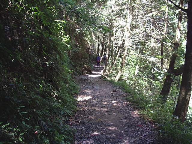 橫嶺山自然步道、橫嶺山