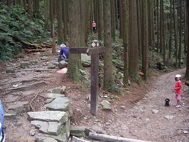 橫嶺山自然步道、橫嶺山