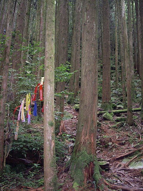 橫嶺山自然步道、橫嶺山