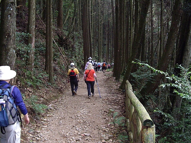 橫嶺山自然步道、橫嶺山