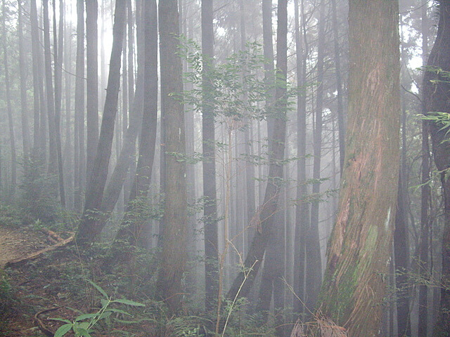 橫嶺山自然步道、橫嶺山