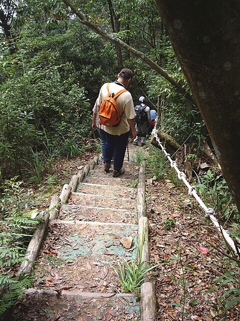 橫嶺山自然步道、橫嶺山