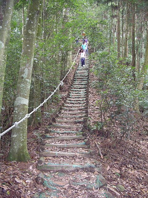 橫嶺山自然步道、橫嶺山