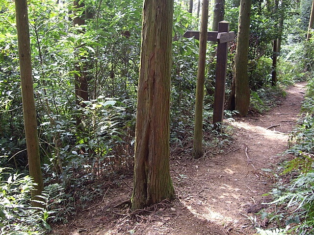 橫嶺山自然步道、橫嶺山