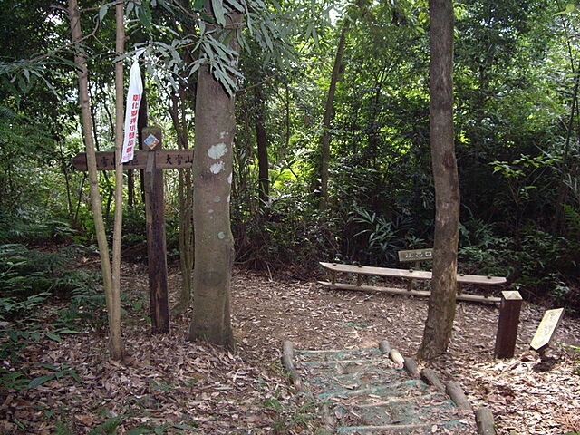 橫嶺山自然步道、橫嶺山