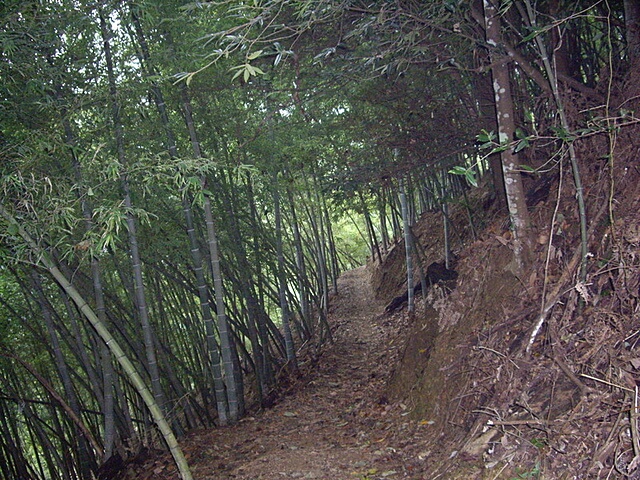 橫嶺山自然步道、橫嶺山