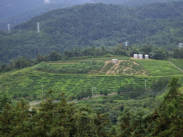 貓囒山自然步道、貓囒山