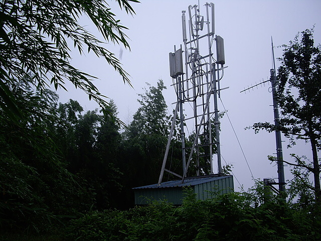 忘憂森林、樟空崙山、貓冬望山