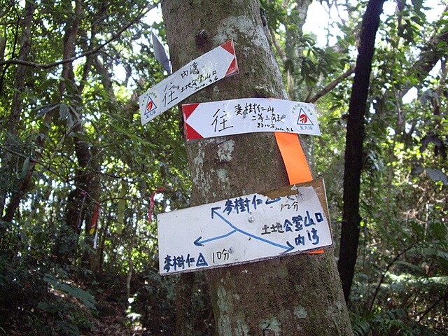 麥樹仁山、舊砲台山、加那桃山、白石湖山