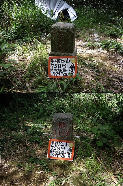 麥樹仁山、舊砲台山、加那桃山、白石湖山