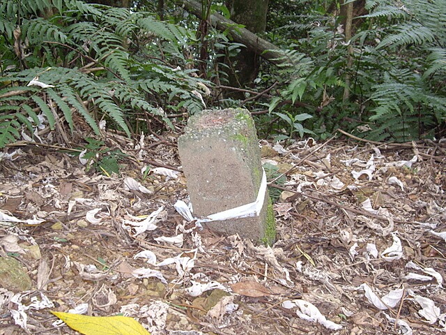 麥樹仁山、舊砲台山、加那桃山、白石湖山