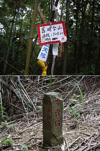 麥樹仁山、舊砲台山、加那桃山、白石湖山