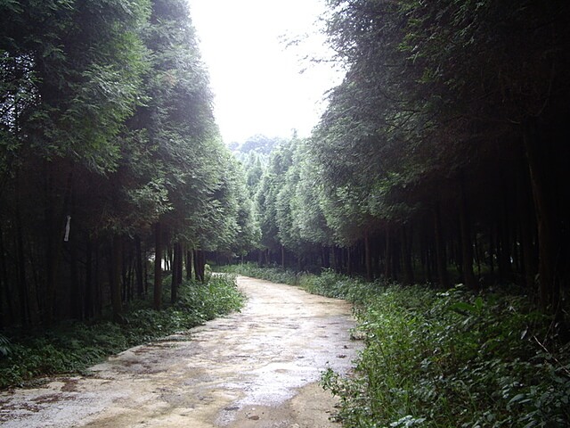 麥樹仁山、舊砲台山、加那桃山、白石湖山