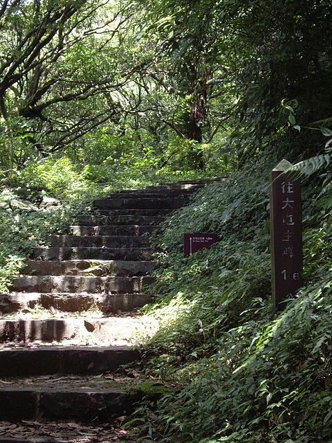 二子坪、大屯坪、大屯山主峰