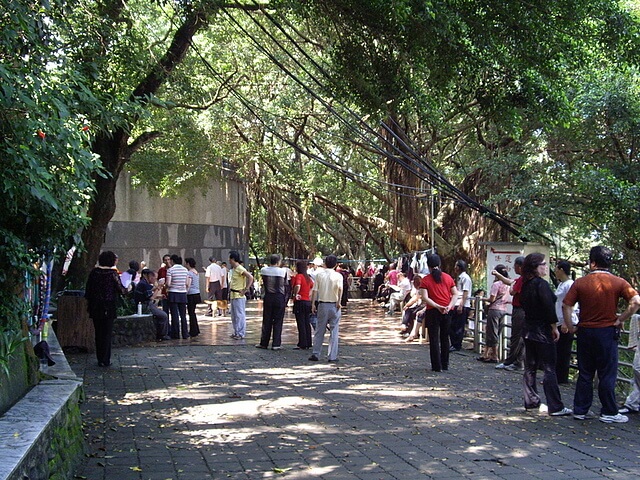 虎頭山公園 榕樹園跳舞場