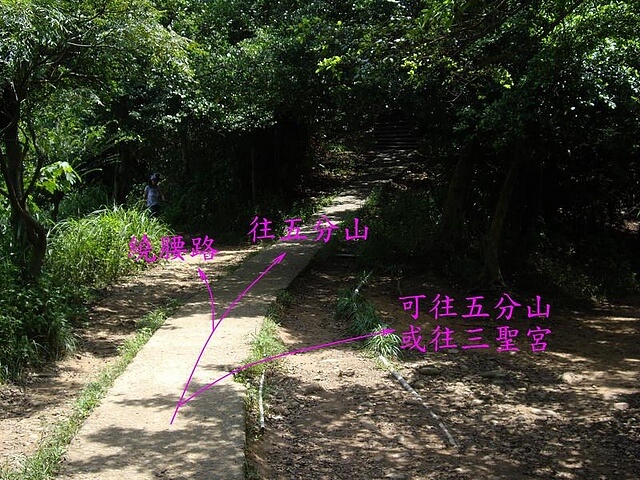 虎頭山公園、虎頭山南峰、虎頭山、新路坑山