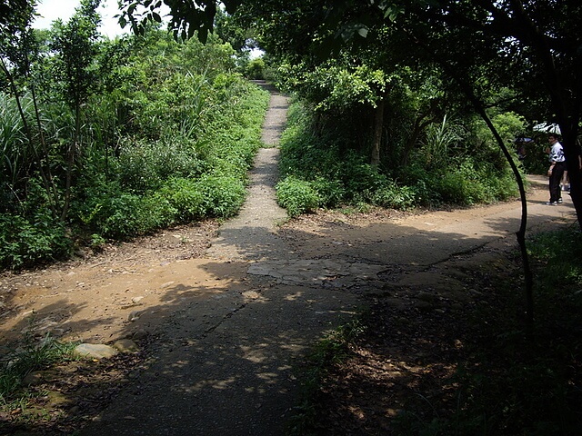 虎頭山公園、虎頭山南峰、虎頭山、新路坑山