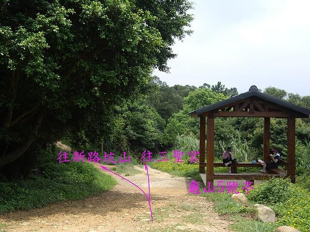 虎頭山公園、虎頭山南峰、虎頭山、新路坑山