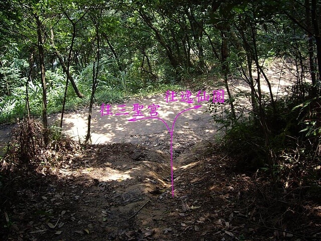 虎頭山公園、虎頭山南峰、虎頭山、新路坑山