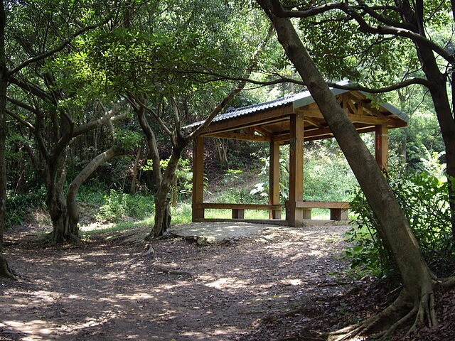 虎頭山公園、虎頭山南峰、虎頭山、新路坑山