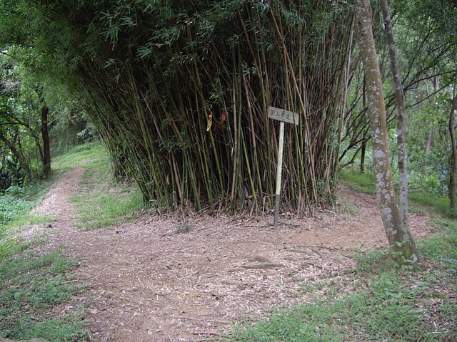 口山步道、造橋老庄、造橋口山