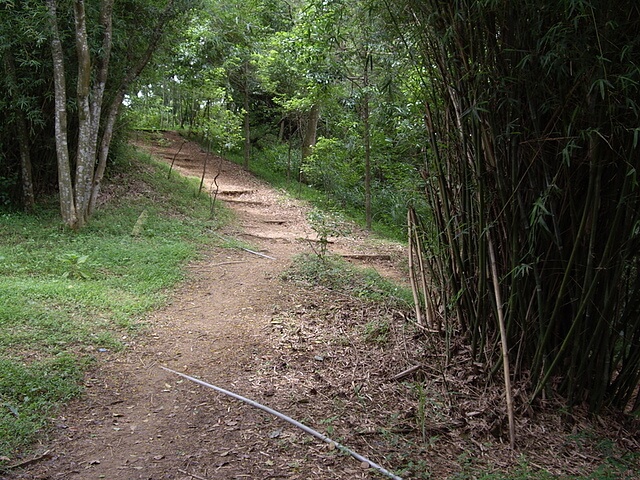 口山步道、造橋老庄、造橋口山