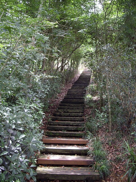 鳳凰山步道、觀音山步道、觀音山