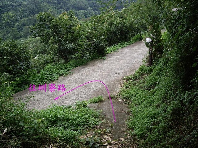 鳳凰山步道、觀音山步道、觀音山