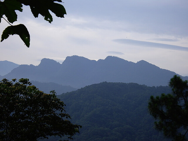 【新竹北埔】大分林山、小分林山、二寮山、二寮神木