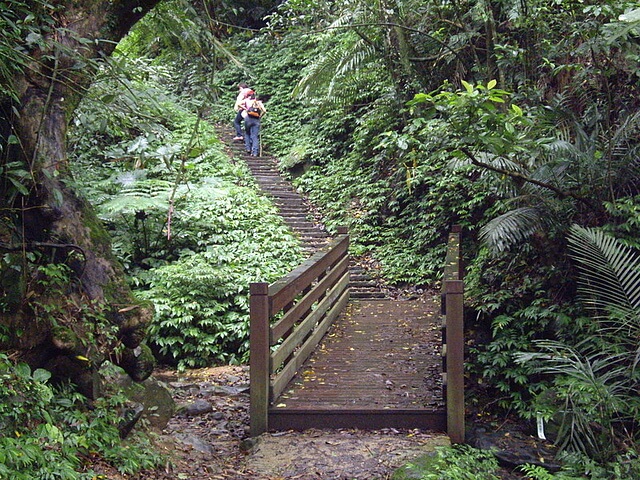 鳴鳳古道、南隘勇古道、三湖山、八達嶺古道、延平古道