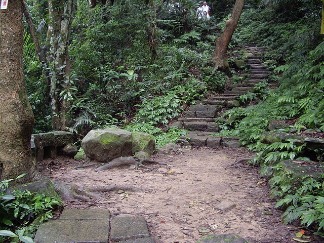 鳴鳳古道、南隘勇古道、三湖山、八達嶺古道、延平古道