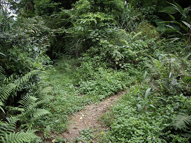 鳴鳳古道、南隘勇古道、三湖山、八達嶺古道、延平古道