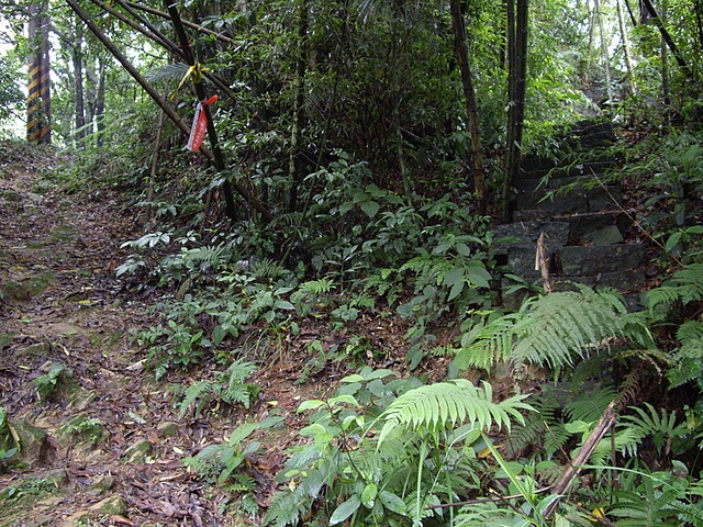 鳴鳳古道、南隘勇古道、三湖山、八達嶺古道、延平古道