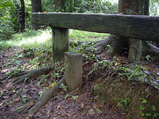 鳴鳳古道、南隘勇古道、三湖山、八達嶺古道、延平古道