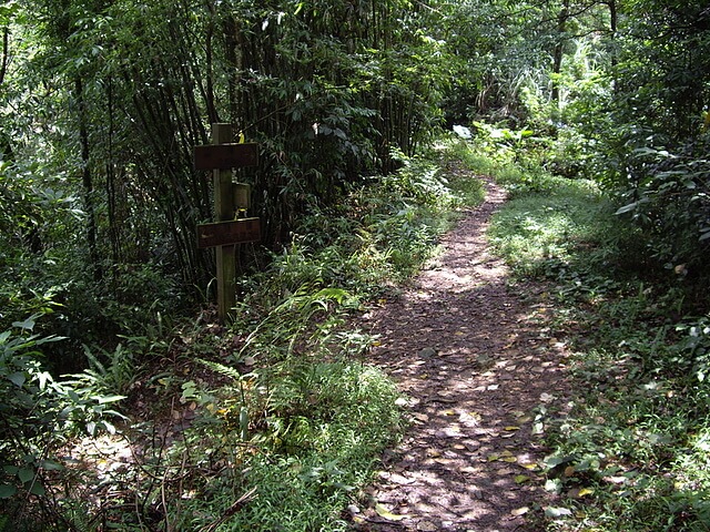 鳴鳳古道、南隘勇古道、三湖山、八達嶺古道、延平古道