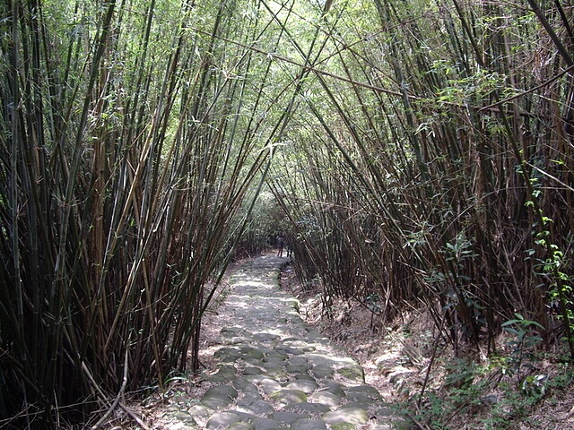 金獅古道